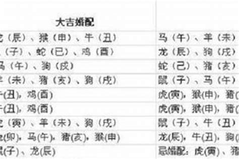 1997 生肖|97年属什么 97年属什么的生肖配对